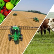AGRO - 1