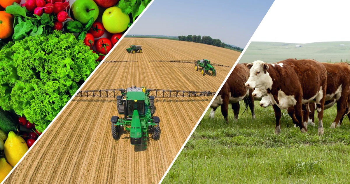 AGRO - 1